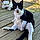 Sylvester