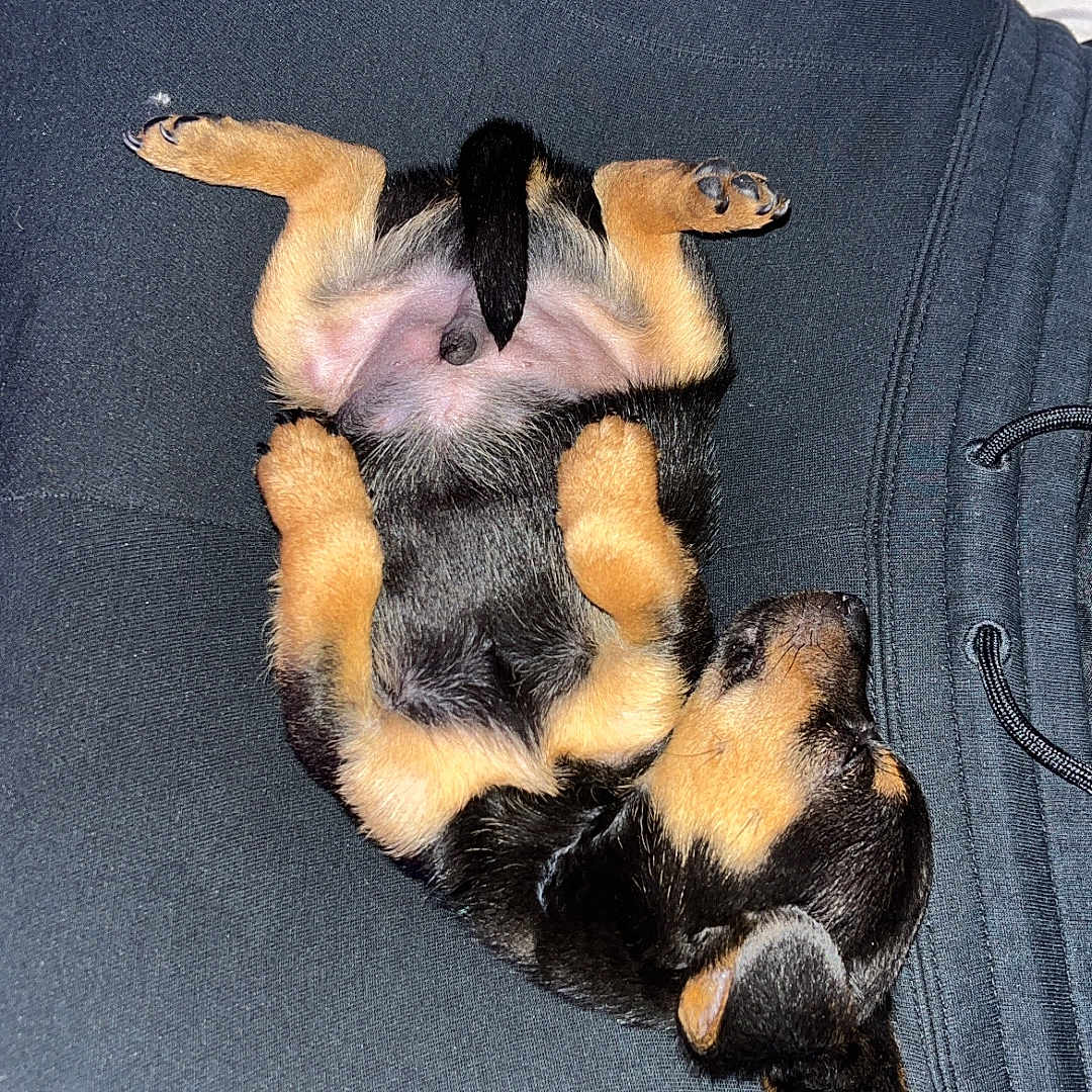 Kobe