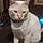 Casper