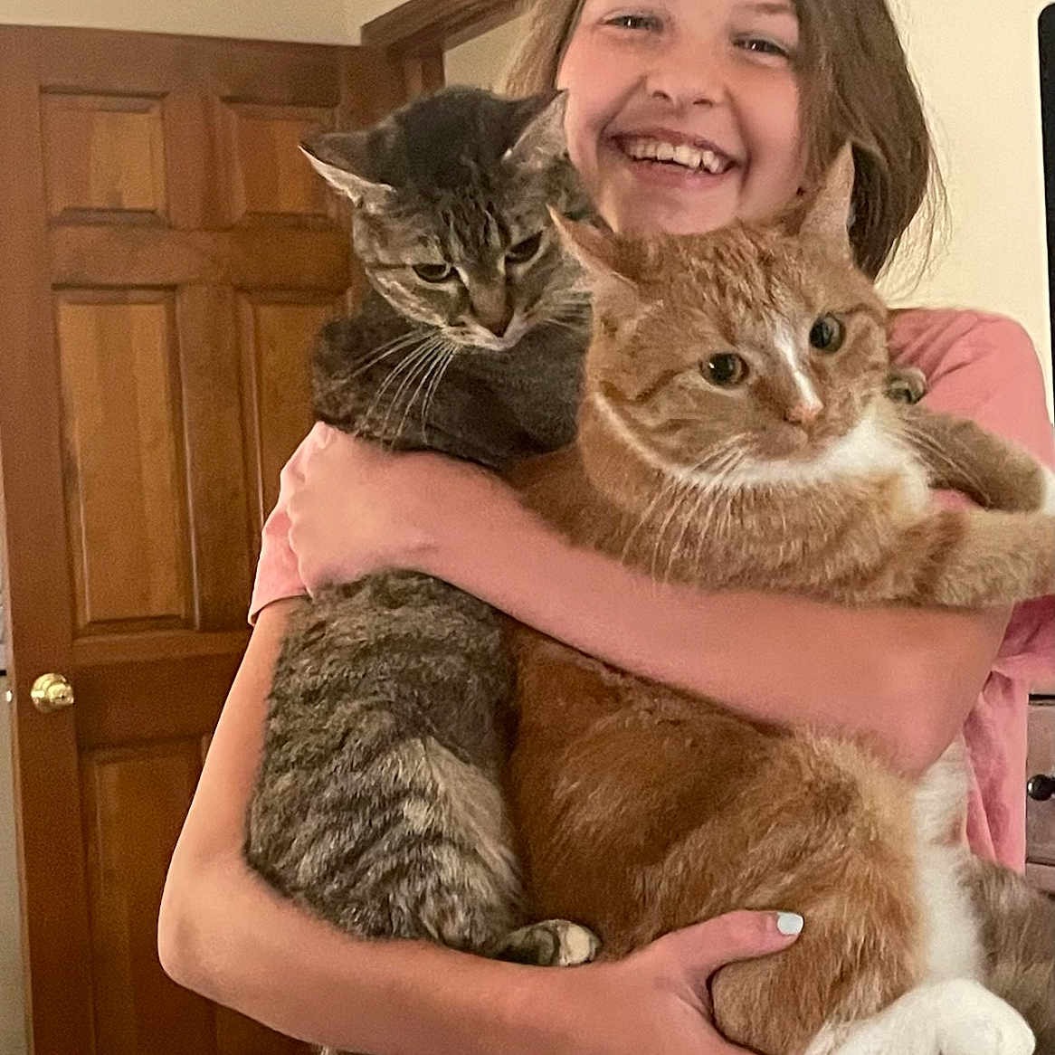 Nancy Rhoades joined the competition — help win amazing prizes! animal, carpet, cat, cute, domestic, feline, happy, holding, home, hugging, indoor, orange_cat, person, pet, pink_shirt, short_sleeves, smiling, tabby_cat, wooden_door, young_person