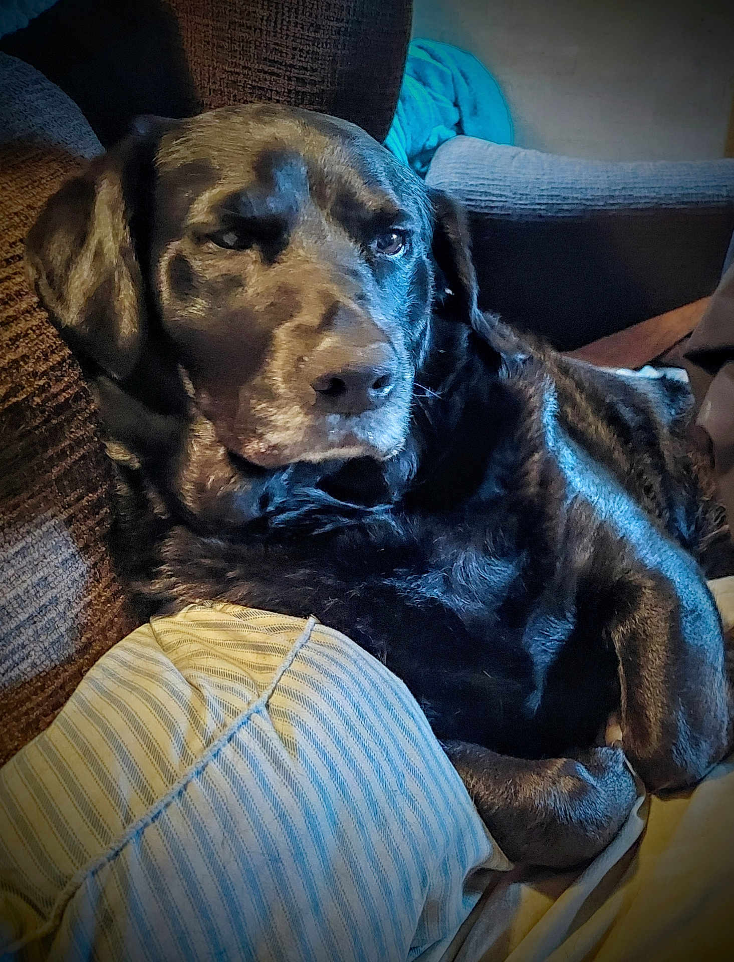 Bubbalou