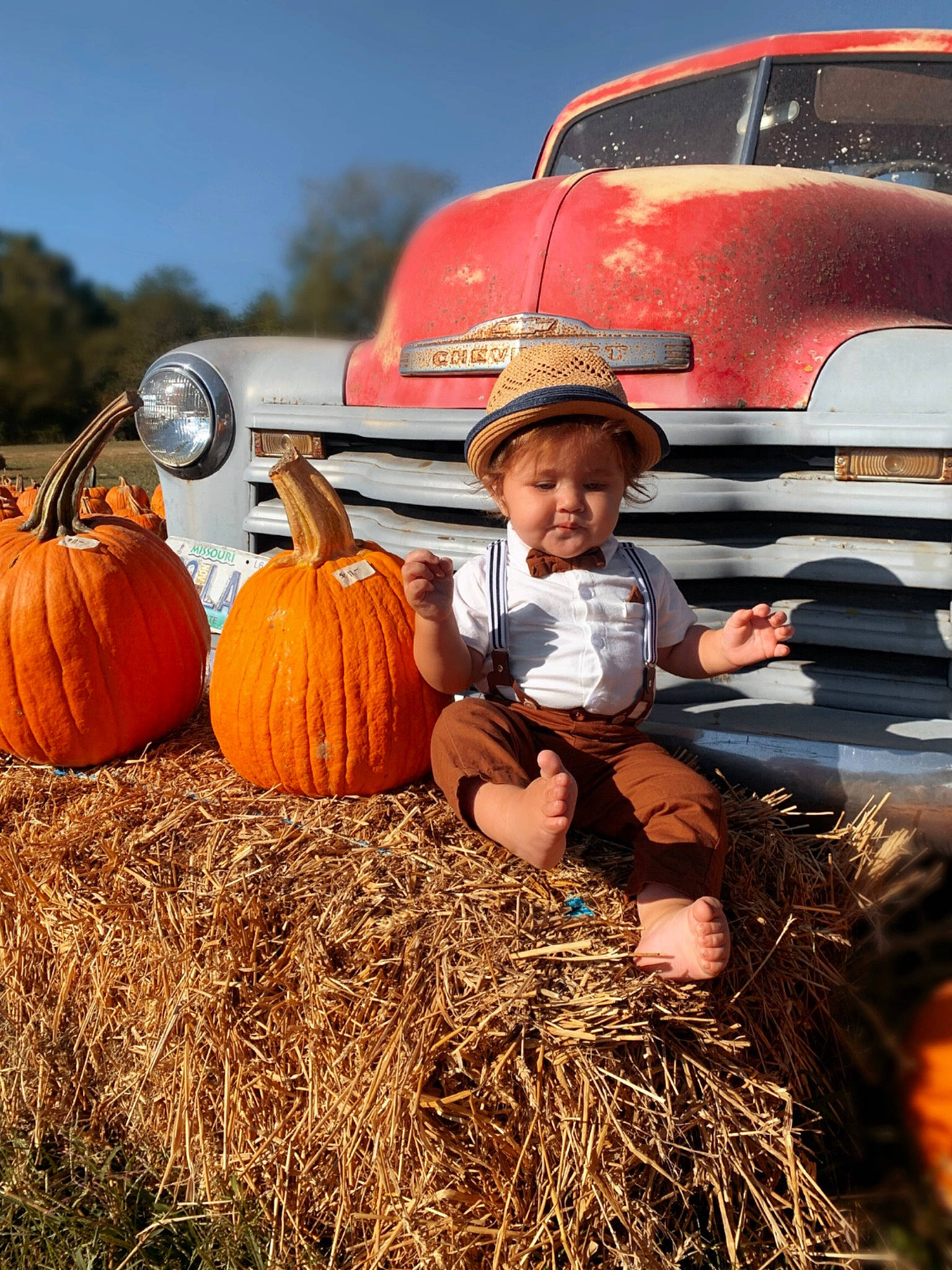 Callum joined the competition — help win amazing prizes! agriculture, automotive_design, automotive_lighting, automotive_tire, bumper, calabaza, car, cucurbita, gourd, grass, hat, hood, motor_vehicle, natural_foods, person, plant, pumpkin, sky, squash, winter_squash