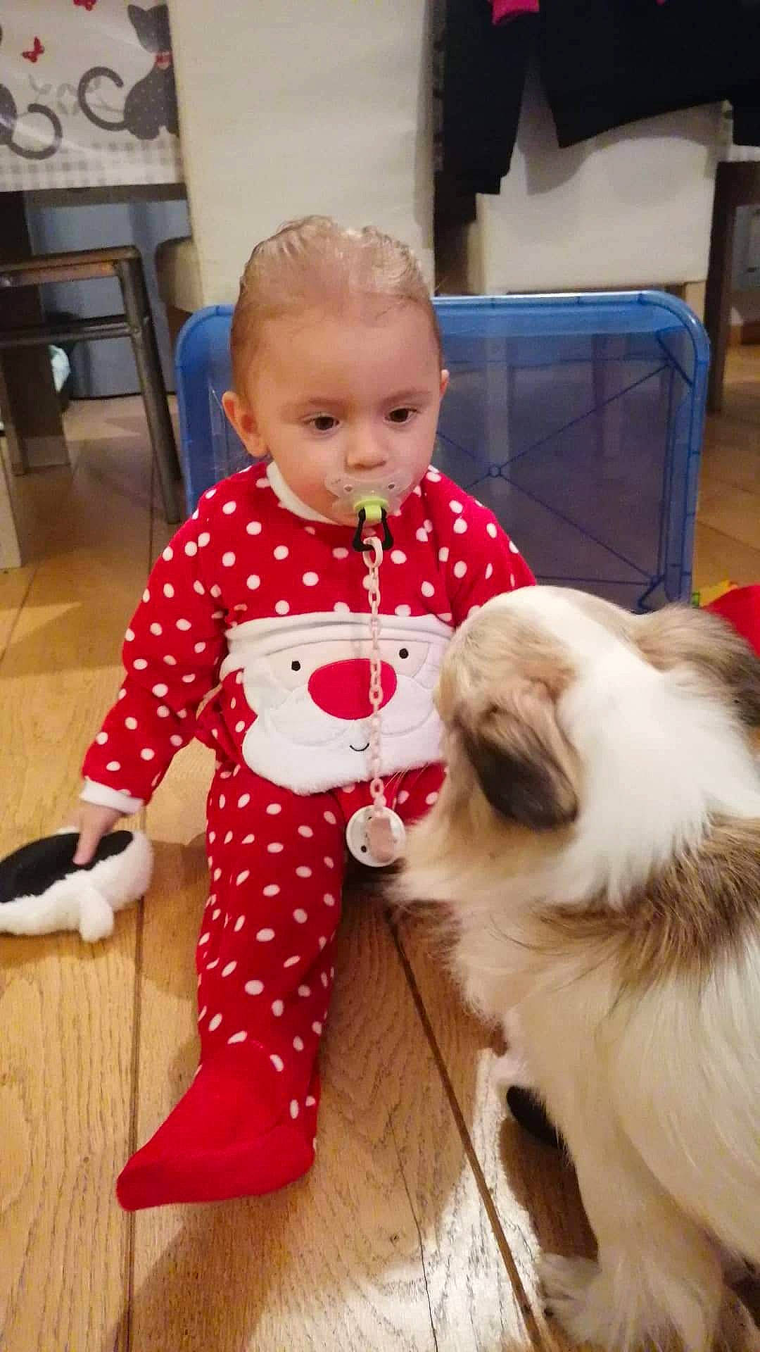 Kailly participe au concours pour gagner de l'argent avec cette photo : baby, baby_toddler_clothing, carnivore, child, dog, dog_breed, face, fawn, floor, flooring, fur, home_appliance, human, mammal, mouth, nose, pajamas, person, snout, toddler