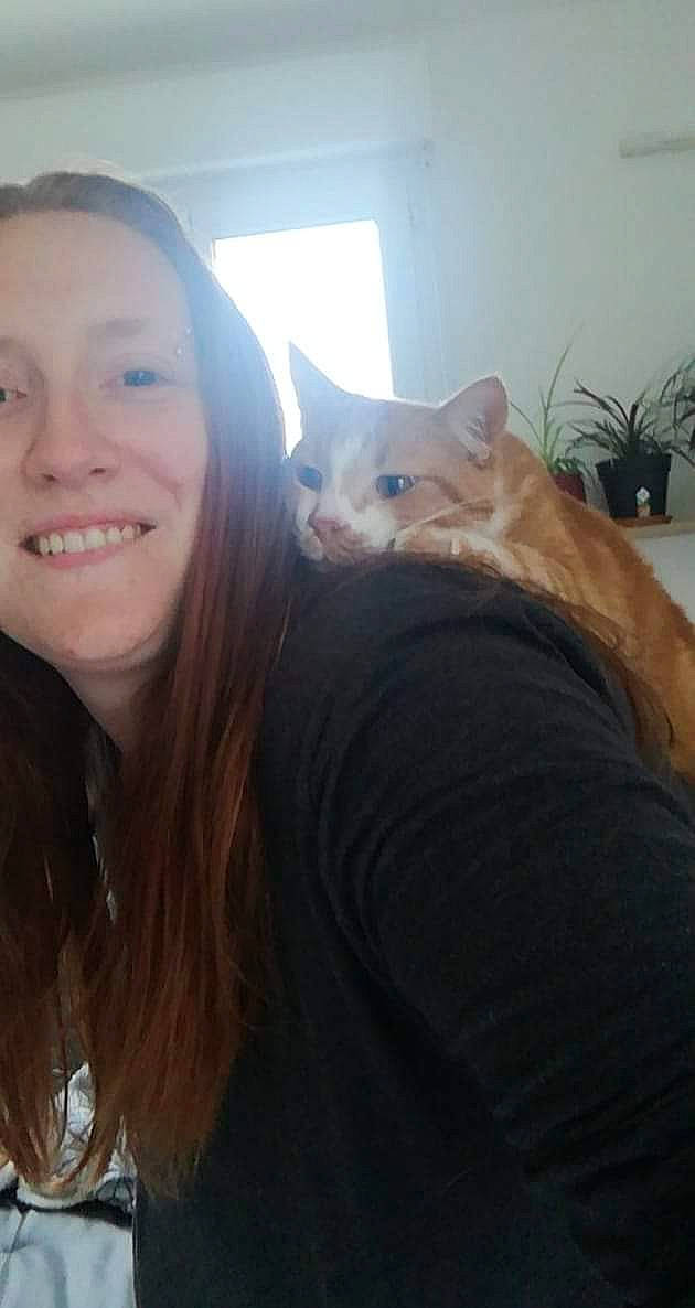 Dorémi participe au concours pour gagner de l'argent avec cette photo : blond, brown_hair, carnivore, cat, domestic_short_haired_cat, facial_expression, felidae, flowerpot, happy, houseplant, iris, laugh, long_hair, mammal, organ, selfie, small_to_medium_sized_cats, tooth, vertebrate, whiskers