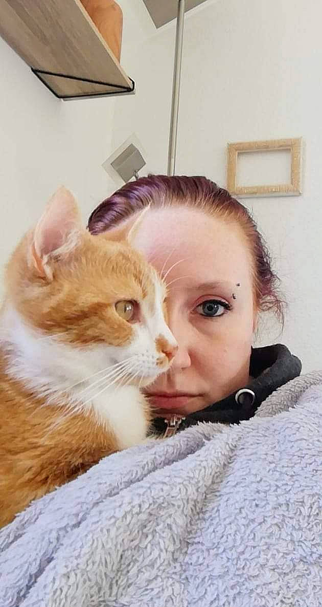 Dorémi participe au concours pour gagner de l'argent avec cette photo : blond, box, carnivore, cat, comfort, curious, domestic_short_haired_cat, eyelash, fawn, felidae, fur, lamp, mammal, paper, selfie, shipping_box, small_to_medium_sized_cats, snout, vertebrate, whiskers