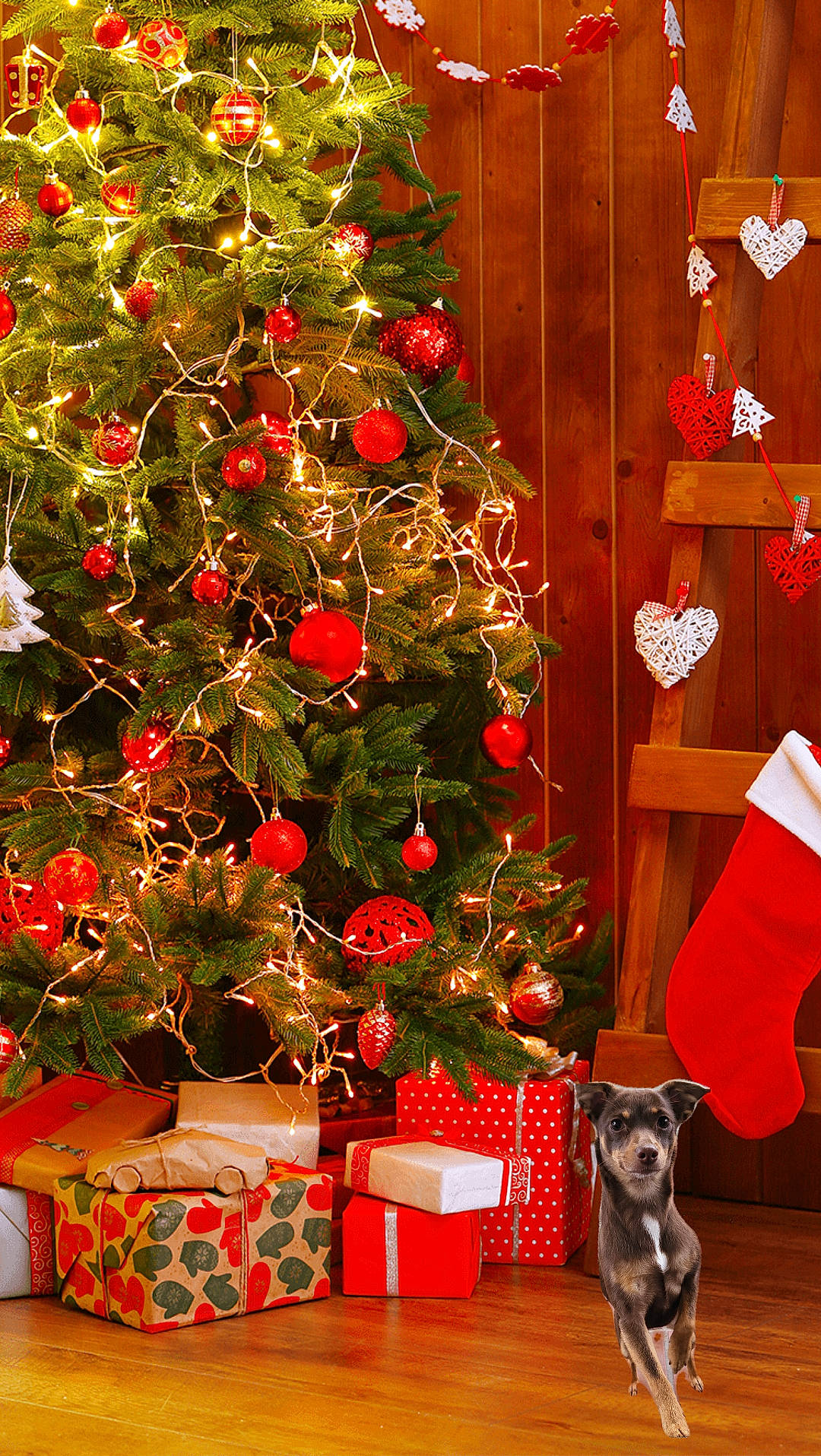 Kia is registered to the contest to win money with this photo: branch, christmas, christmas_decoration, christmas_ornament, christmas_tree, decoration, evergreen, flowerpot, holiday, holiday_ornament, houseplant, interior_design, light, lighting, ornament, plant, red, tints_and_shades, wood, woody_plant