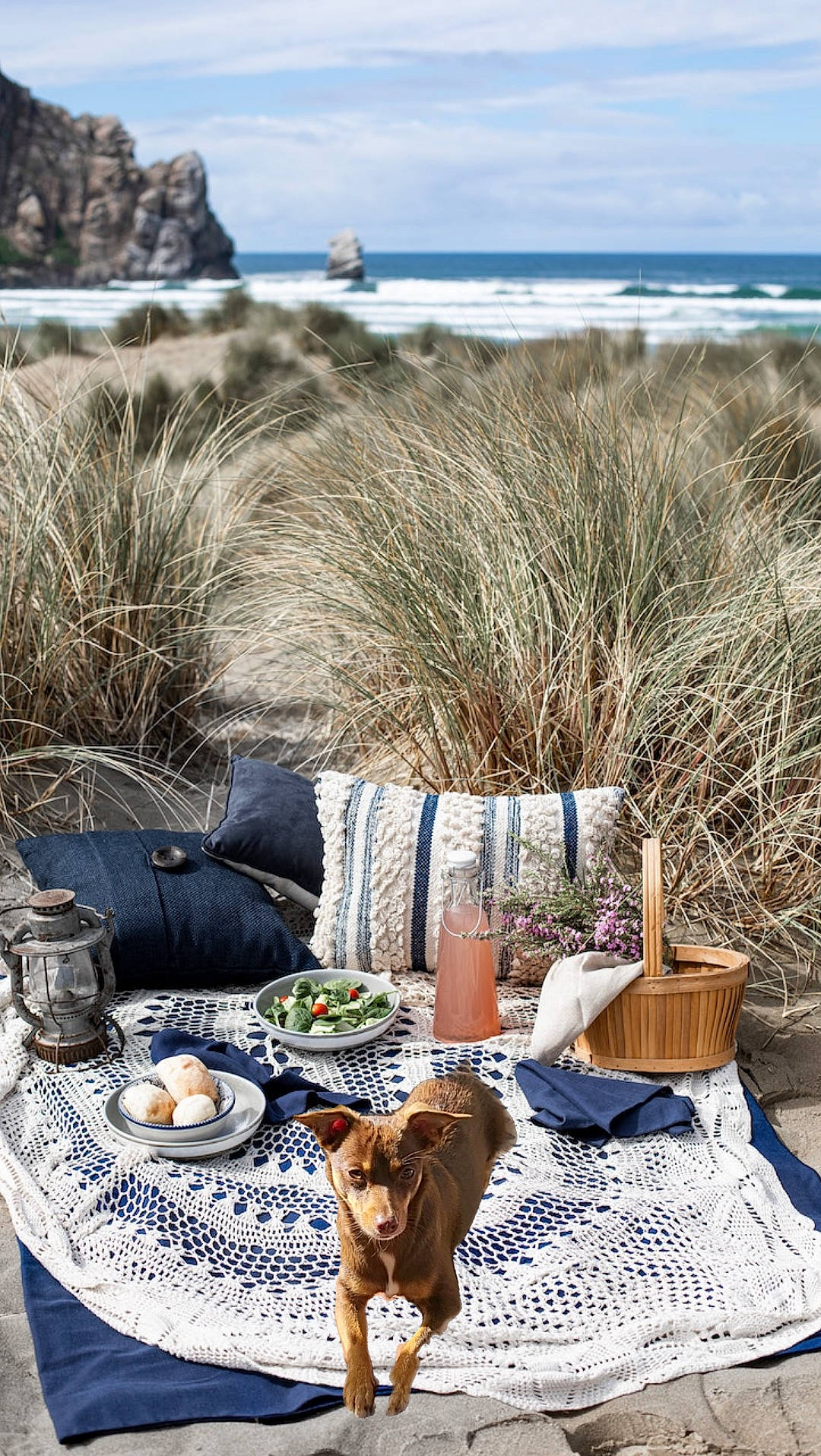 Kia is registered to the contest to win money with this photo: beach, blue, cloud, comfort, companion_dog, dog, grass, grass_family, landscape, leisure, morning, outdoor_furniture, outdoor_table, recreation, sky, table, tablecloth, tableware, textile, wood