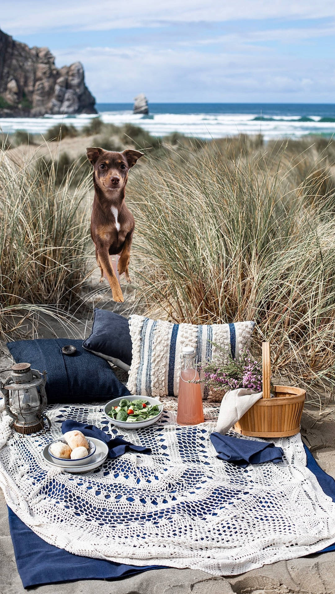 Kia joined the competition — help win amazing prizes! blue, carnivore, dishware, dog, dog_breed, fawn, grass, landscape, leisure, outdoor_furniture, plant, plate, recreation, serveware, sky, summer, table, tablecloth, tableware, wood