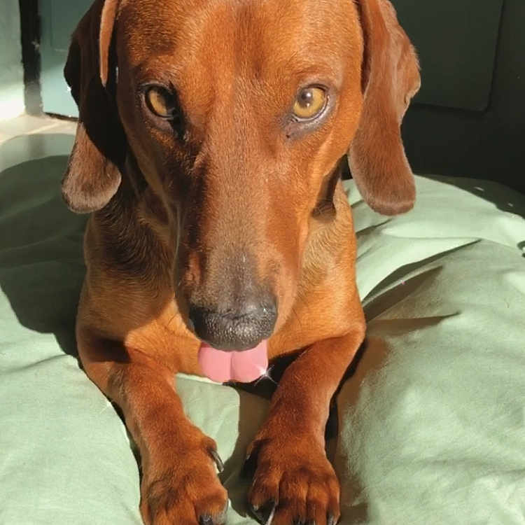 Paco