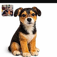 Tonus a rejoint le concours — aidez-le/la à gagner de superbes lots ! dog, puppy, sitting, white_background, pet, animal, brown, black, small, cute, fur, ears, face, portrait, studio, isolated, inset_image, website_text, promotional, domestic