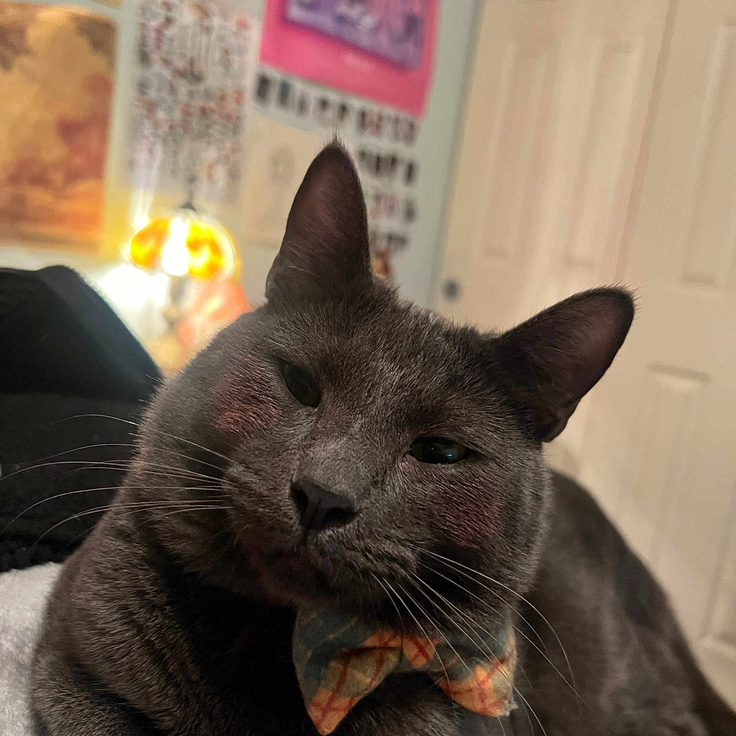 Herbert