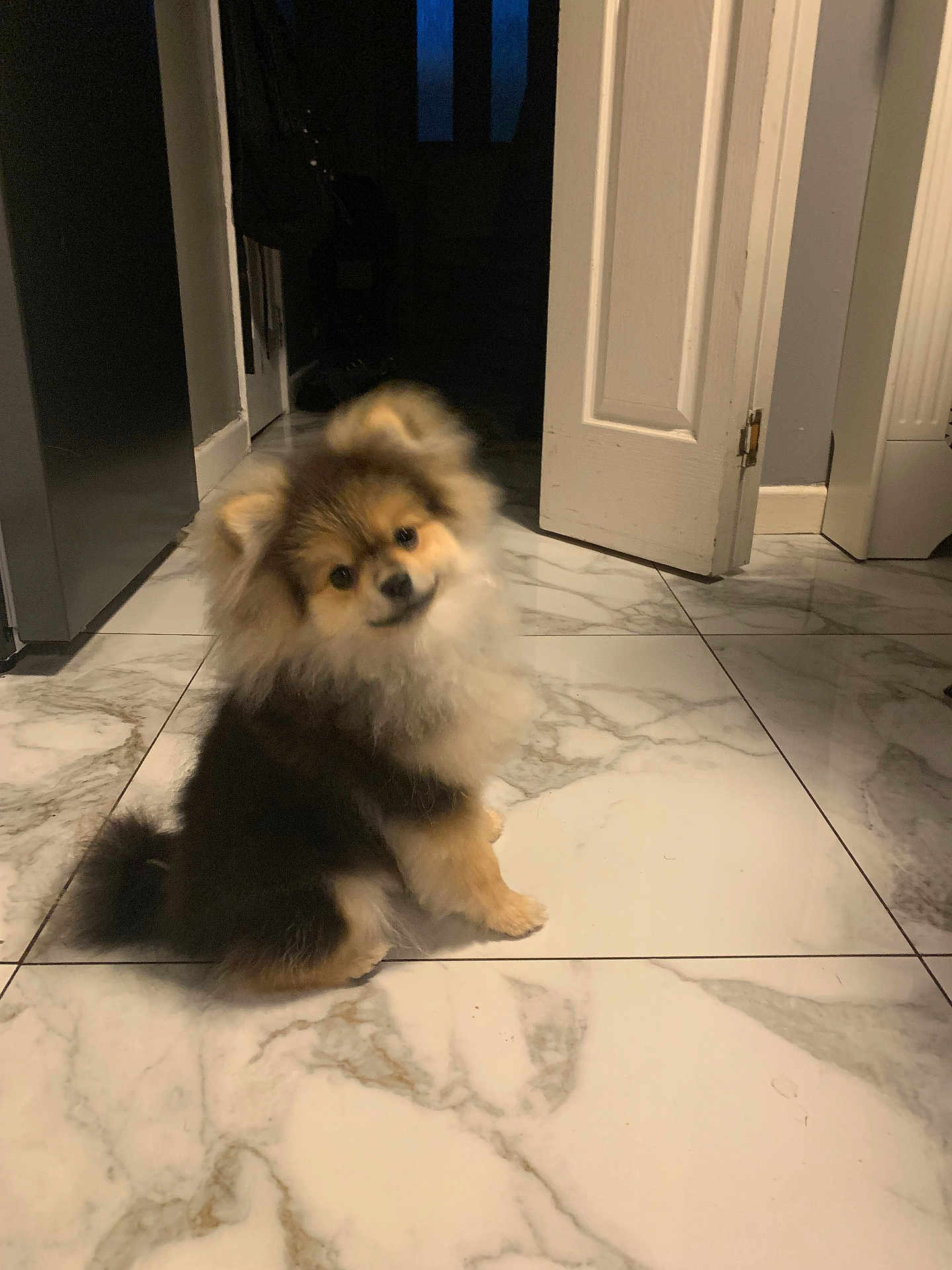 Yoda