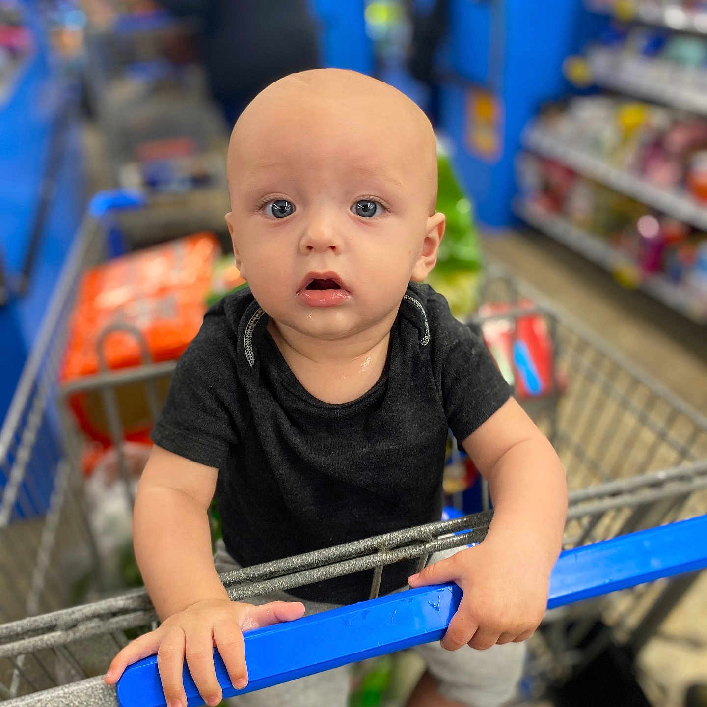 Kace joined the competition — help win amazing prizes! adult, baby, crawling, cricket, cricketbat, face, female, grocerystore, head, indoors, market, person, photography, portrait, shelf, shop, shopping, shoppingcart, sport, woman