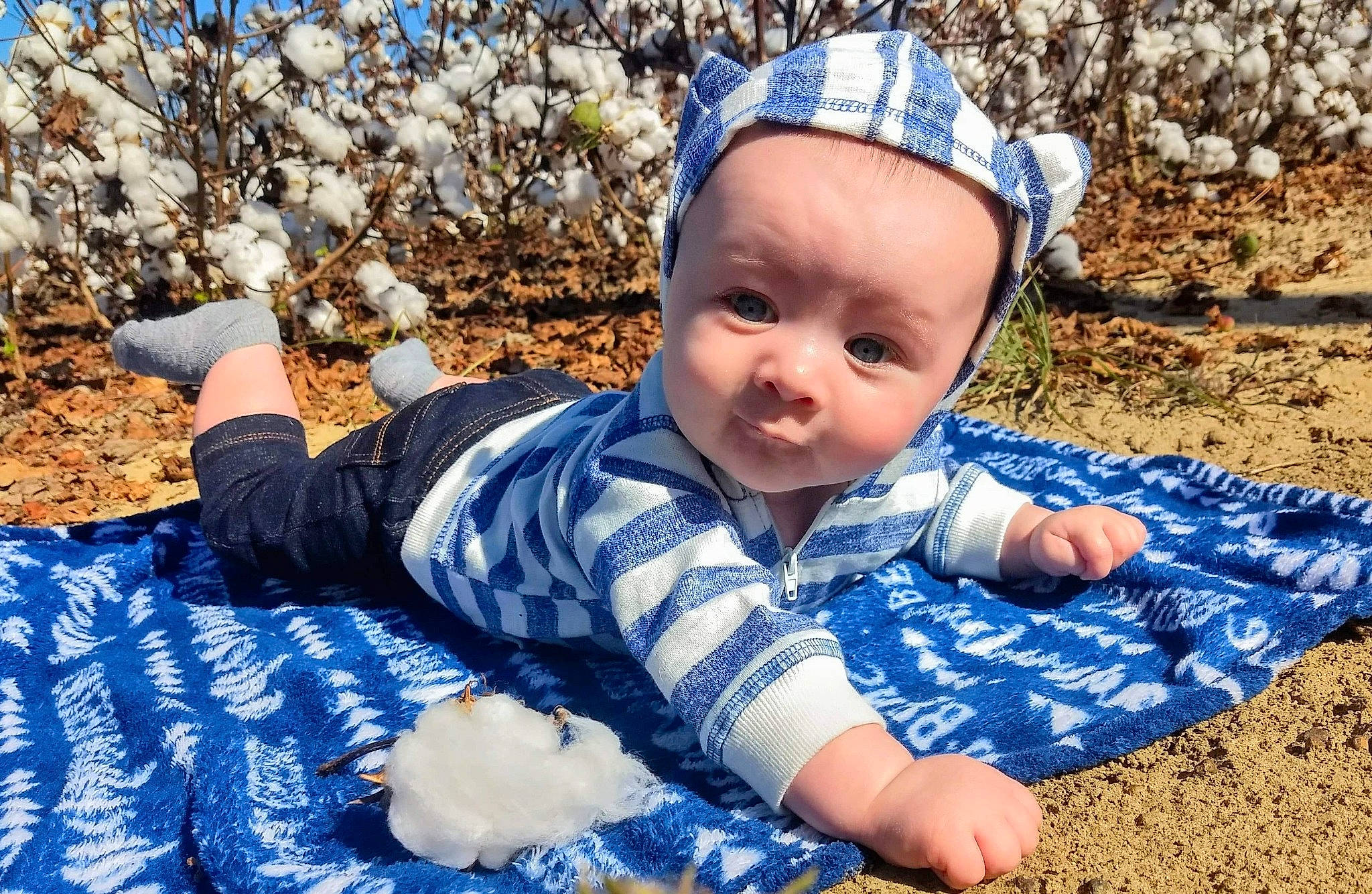 Ryerson is registered to the contest to win money with this photo: baby, child, grass, leaf, person, play, sitting, toddler