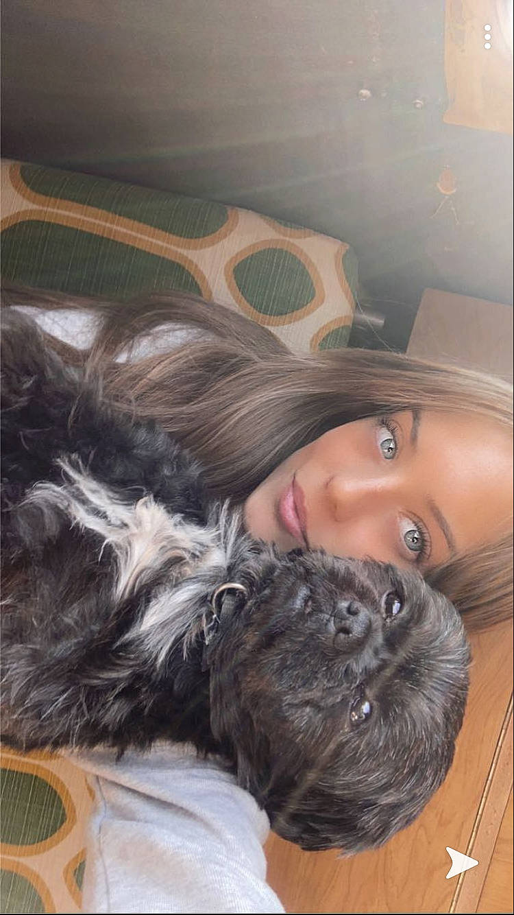 Iko a rejoint le concours — aidez-le/la à gagner de superbes lots ! black_hair, brown_hair, canidae, ear, fur, hair, long_hair, nose, selfie