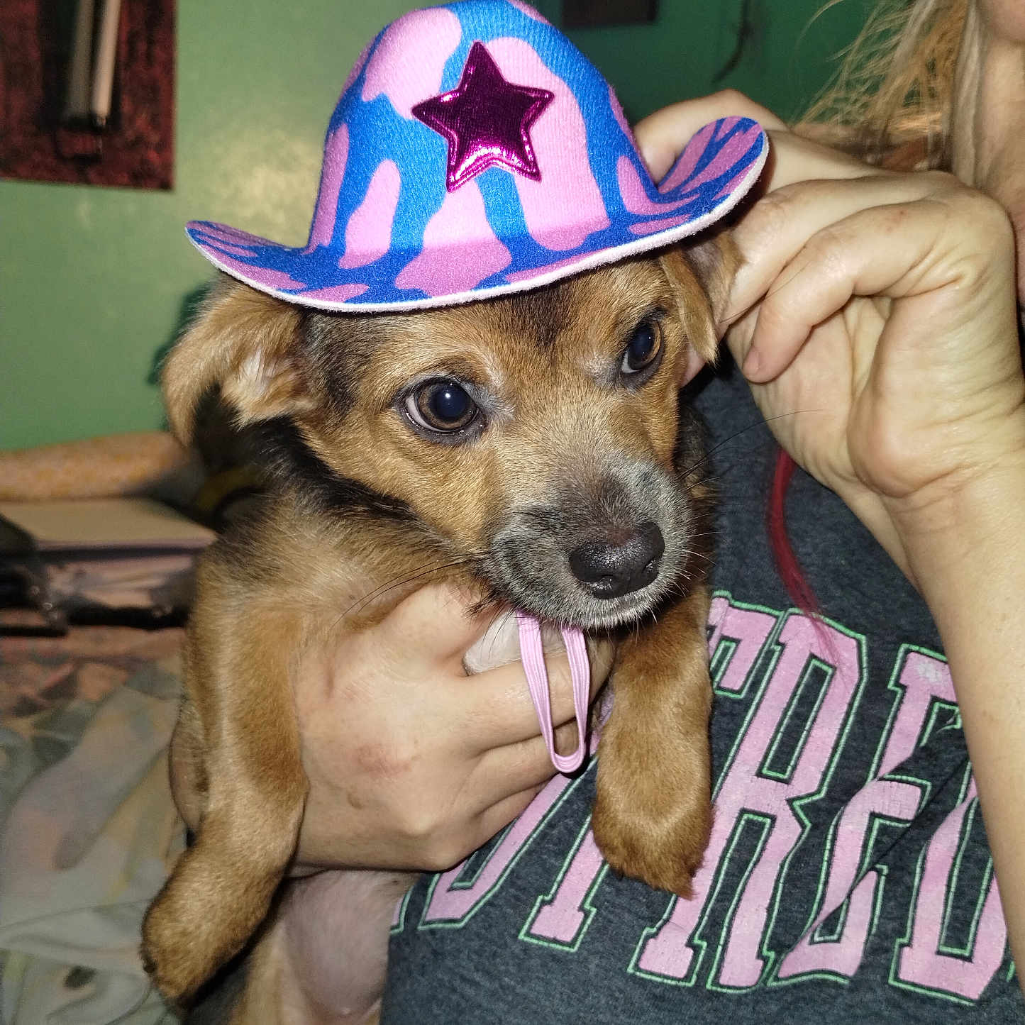 Kalise is registered to the contest to win money with this photo: animal, bodypart, canine, cap, clothing, dog, face, finger, hand, hat, head, hound, person, pet, photography, portrait, puppy, purple, sunhat, t_shirt