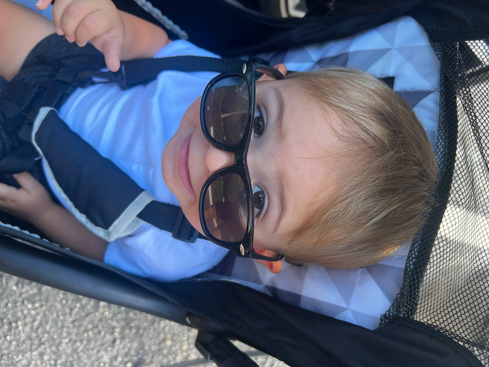 Adonis joined the competition — help win amazing prizes! auto_part, baby, car_seat, child, comfort, eyewear, facial_expression, fun, glasses, goggles, hairstyle, happy, head, leisure, mouth, person, personal_protective_equipment, smile, sunglasses, toddler