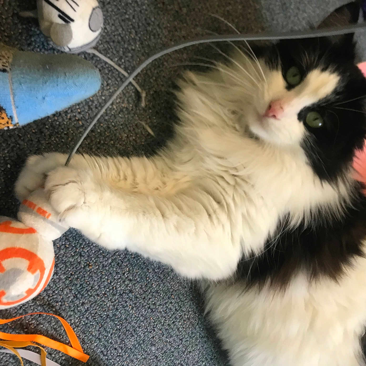 Mittens