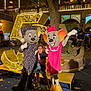 child, mascot, costume, mouse, glasses, night, lights, celebration, party, people, outdoor, tree, balloons, bench, flowerbed, smile, festival, event, fun, entertainment