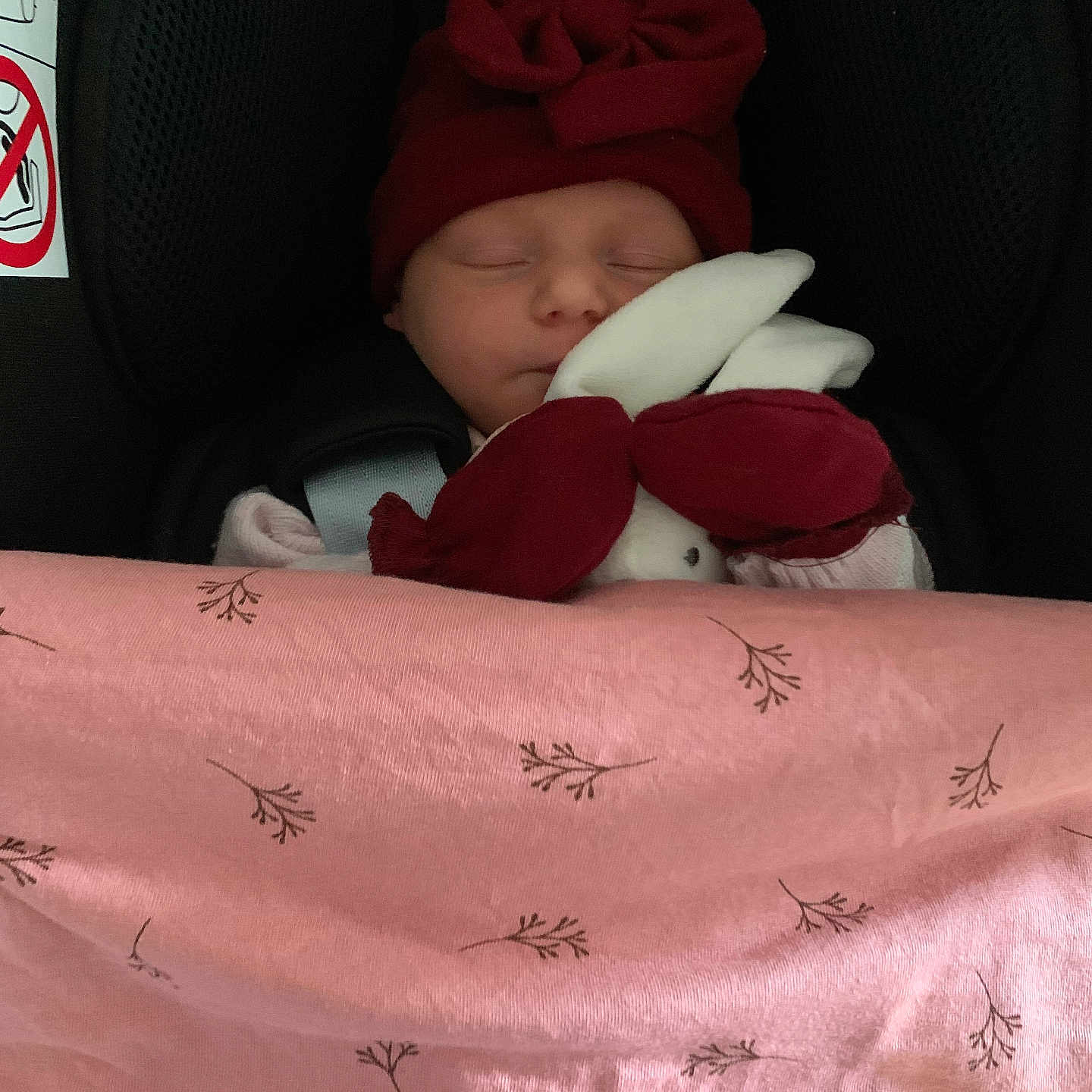 Joy a rejoint le concours — aidez-le/la à gagner de superbes lots ! baby, blanket, bow, bunny_toy, car_seat, child, cozy, cute, face, headwear, indoors, infant, peaceful, pink_blanket, plush_toy, red_hat, resting, safe, sleeping, soft_toy