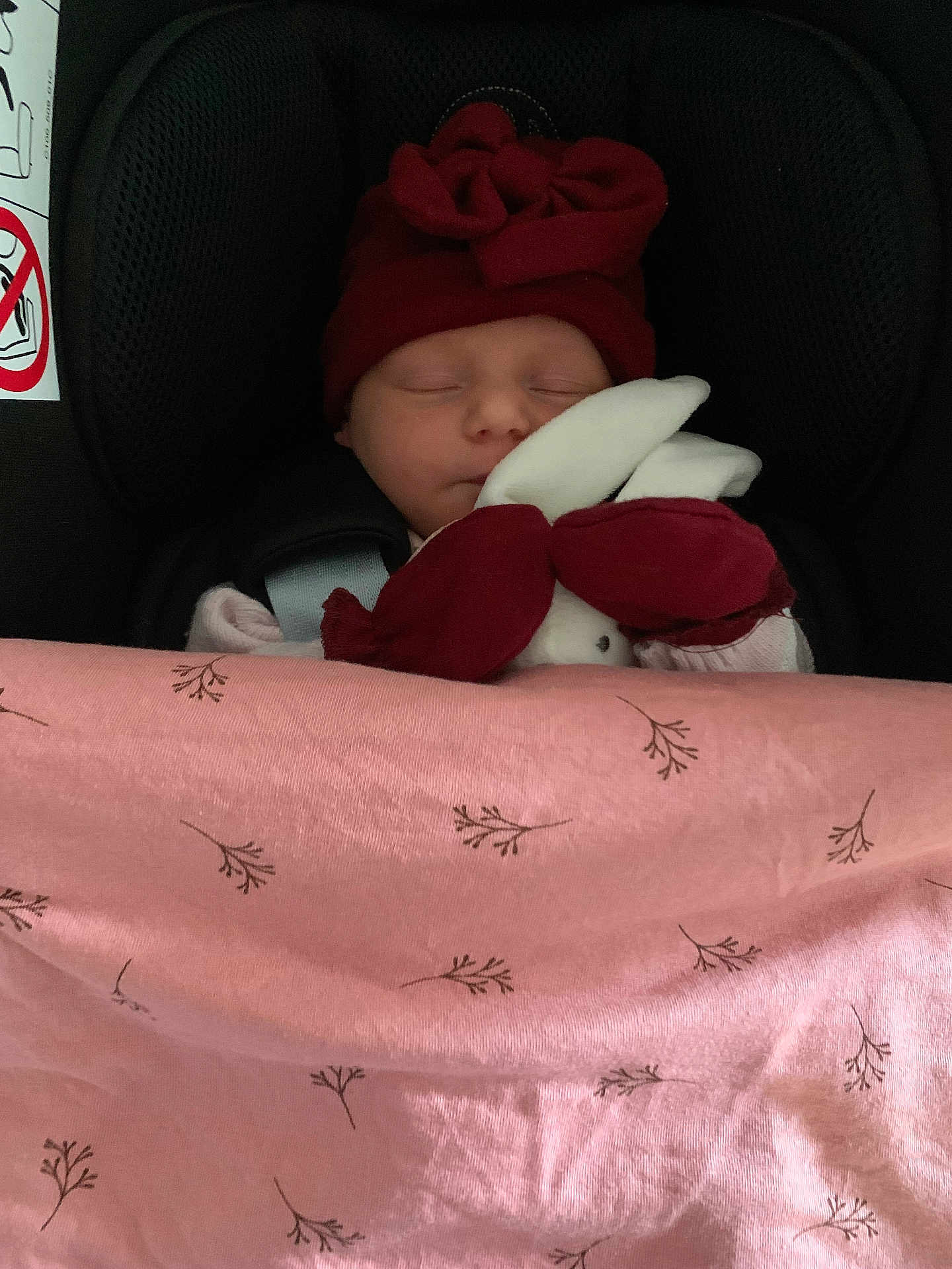 Joy a rejoint le concours — aidez-le/la à gagner de superbes lots ! baby, sleeping, car_seat, red_hat, bow, blanket, pink_blanket, plush_toy, bunny_toy, child, infant, cozy, cute, peaceful, face, headwear, soft_toy, resting, indoors, safe