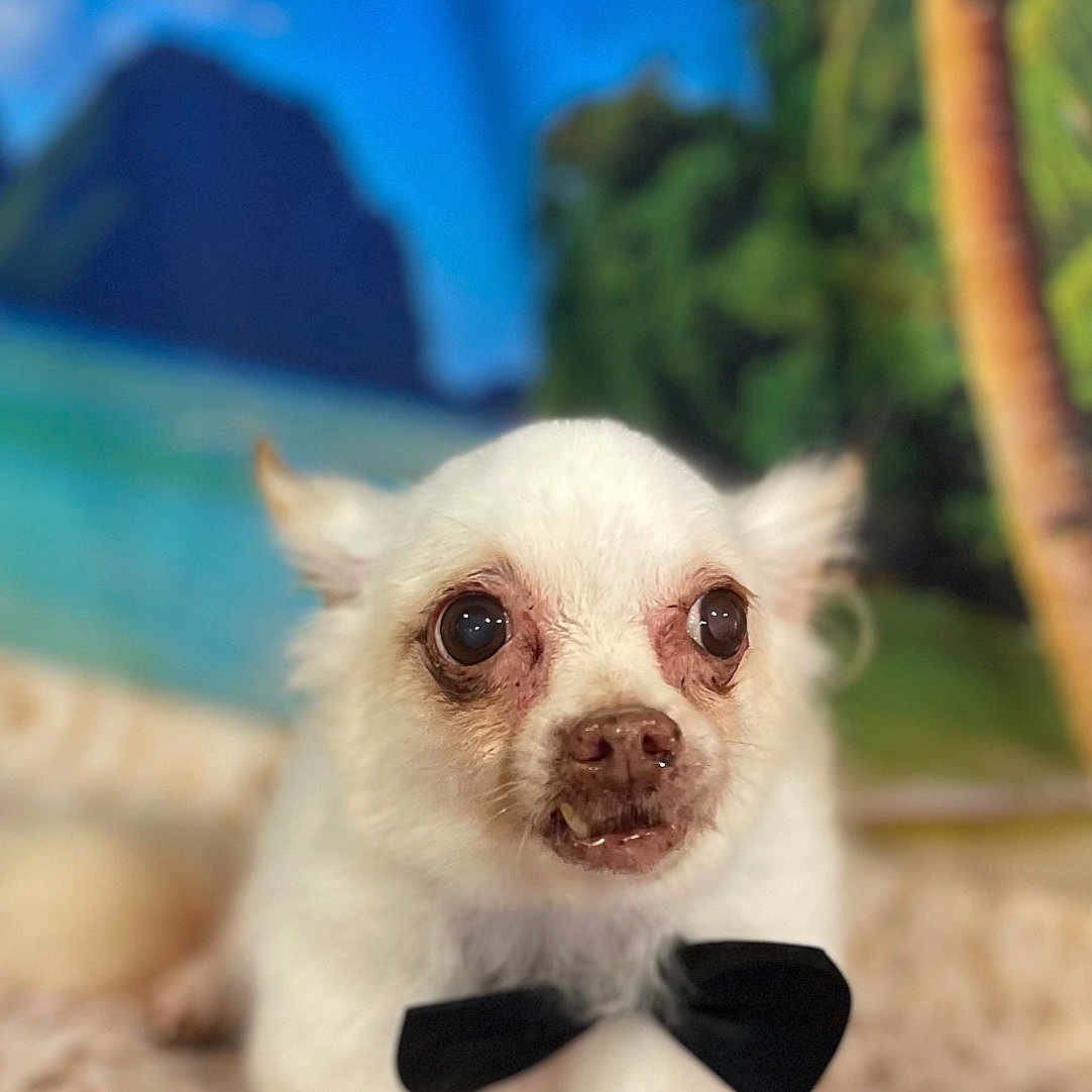 Peanut