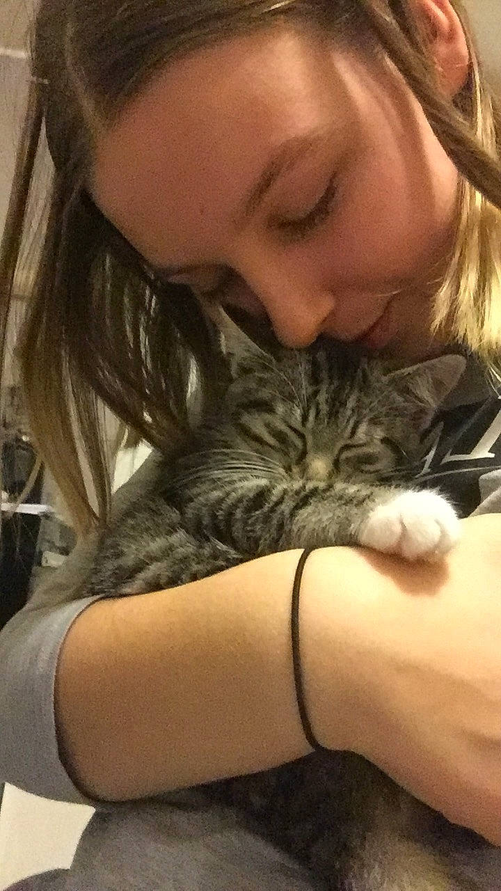 Plume a rejoint le concours — aidez-le/la à gagner de superbes lots ! arm, carnivore, cat, comfort, ear, felidae, finger, friendship, gesture, interaction, long_hair, mammal, mouth, nail, nose, organ, skin, small_to_medium_sized_cats, thigh, whiskers