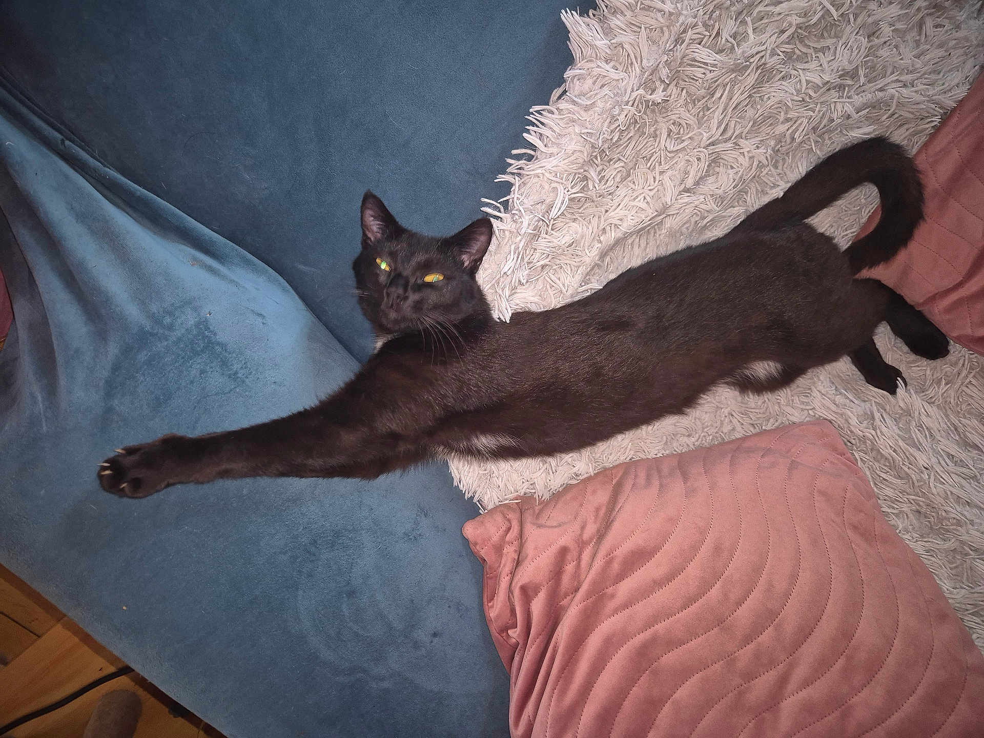 Zina
