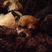 Lucy Furr joined the competition — help win amazing prizes!