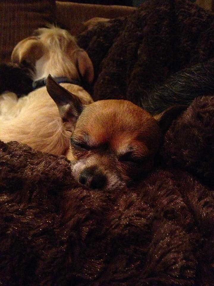 Lucy Furr