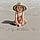 Beau