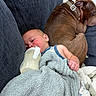 Beau is registered to the contest to win money with this photo: baby, sleeping, bottle, blanket, couch, dog, brown_dog, pet, nap, comfort, cozy, indoor, rest, child, person, furniture, relaxation, domestic_animal, friendship, cute