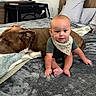 baby, dog, bed, blanket, pillow, indoor, child, pet, brown_dog, sitting, resting, headboard, furniture, cozy, carpet, clothing, bandana, animal, human, cute