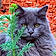Mr.pickles