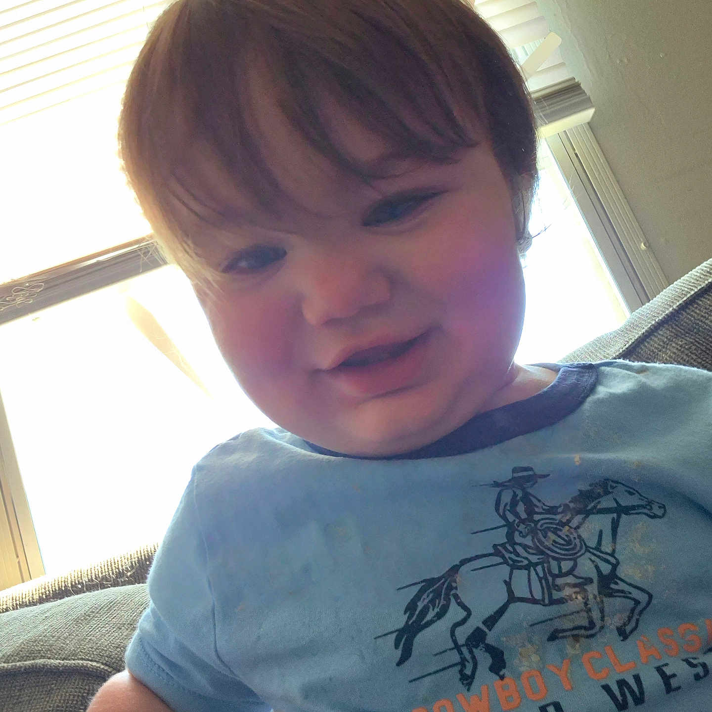 Terrence is registered to the contest to win money with this photo: blinds, blue_shirt, casual, child, clothing, couch, cowboy, daylight, face, happy, horse, indoor, person, portrait, seated, short_hair, smiling, toddler, window, young_child