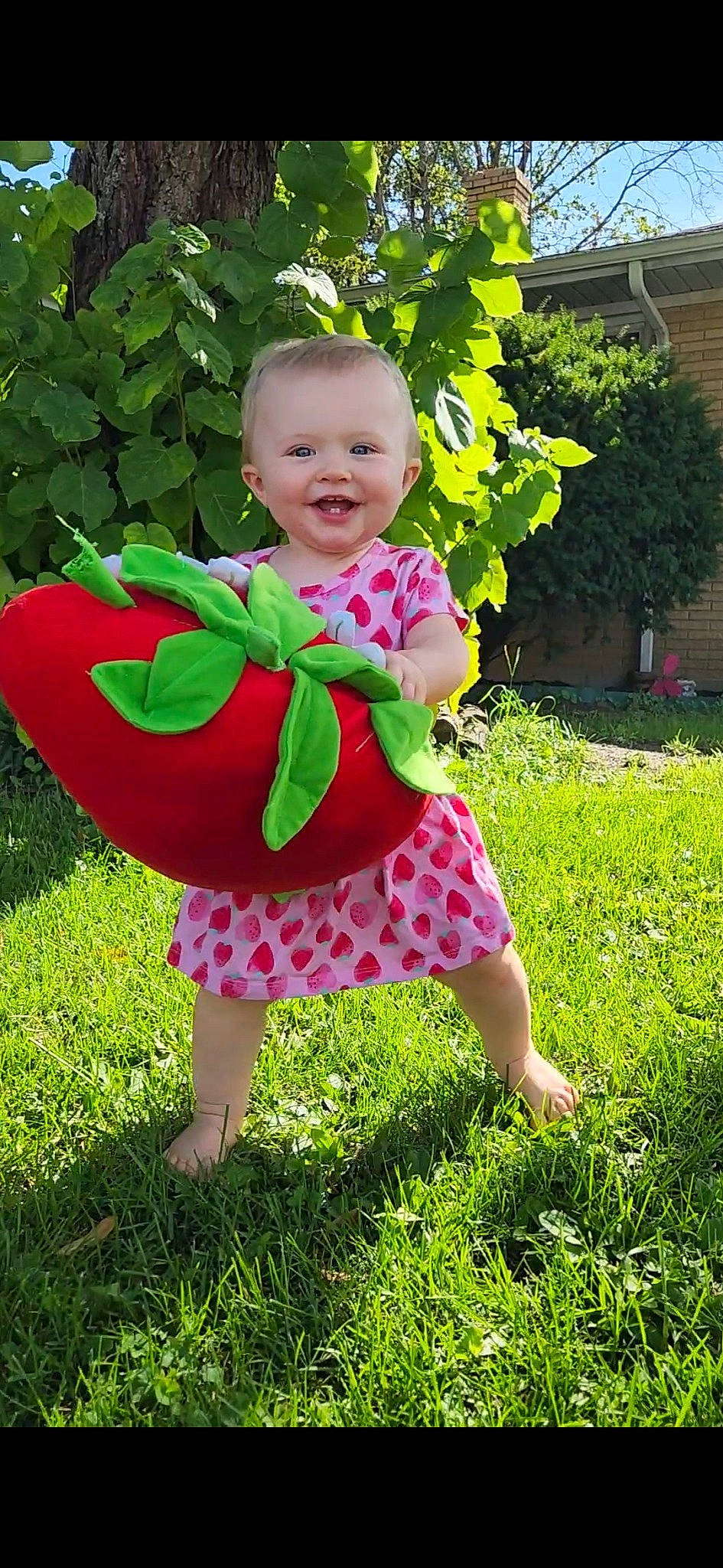 Althea joined the competition — help win amazing prizes! baby, baby_toddler_clothing, botany, dress, face, grass, green, happy, joy, leaf, magenta, nature, people_in_nature, person, petal, pink, plant, smile, summer, toddler
