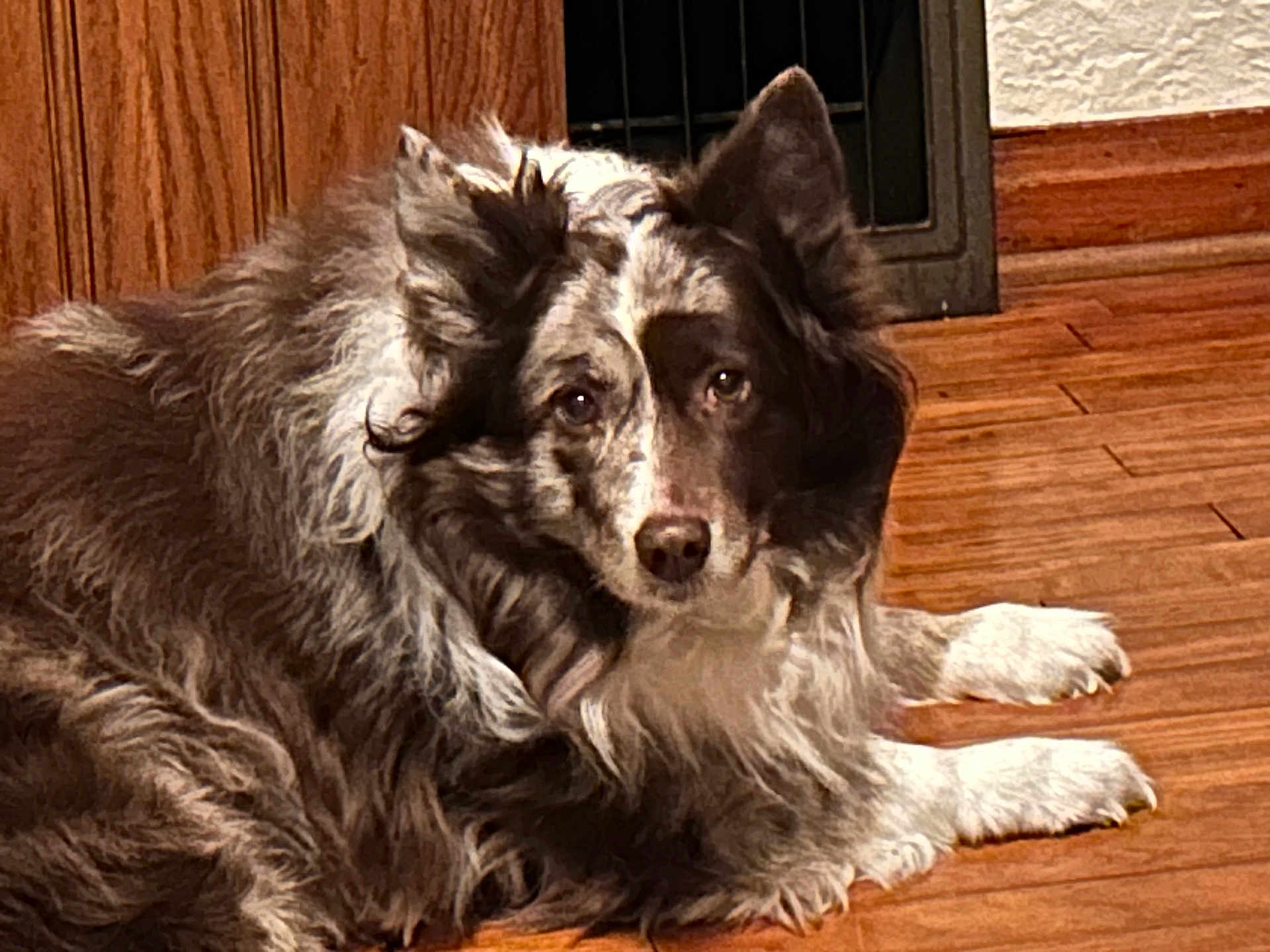 Sophie