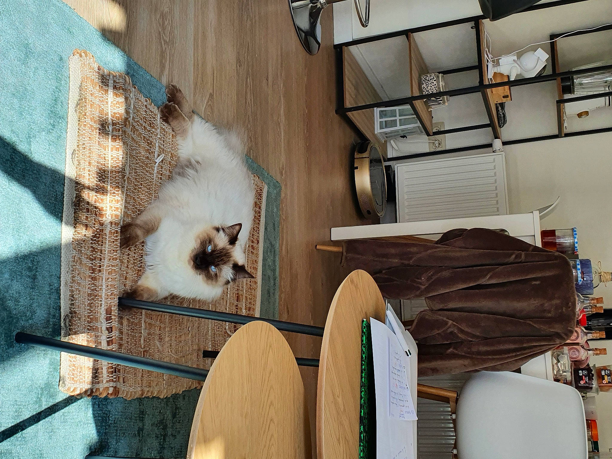 Ginko a rejoint le concours — aidez-le/la à gagner de superbes lots ! automotive_design, beam, building, ceiling, chair, concrete, flooring, fur, gas, hardwood, interior_design, living_room, machine, metal, plywood, room, shelf, shelving, small_to_medium_sized_cats, wood