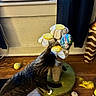 Lea joined the competition — help win amazing prizes! animal, balloon, birthday_balloon, black, cat, curtain, floor, green, household, indoor, pet, play, scratching_post, striped, tabby_cat, toy, white, window_air_conditioner, wooden_floor, yellow