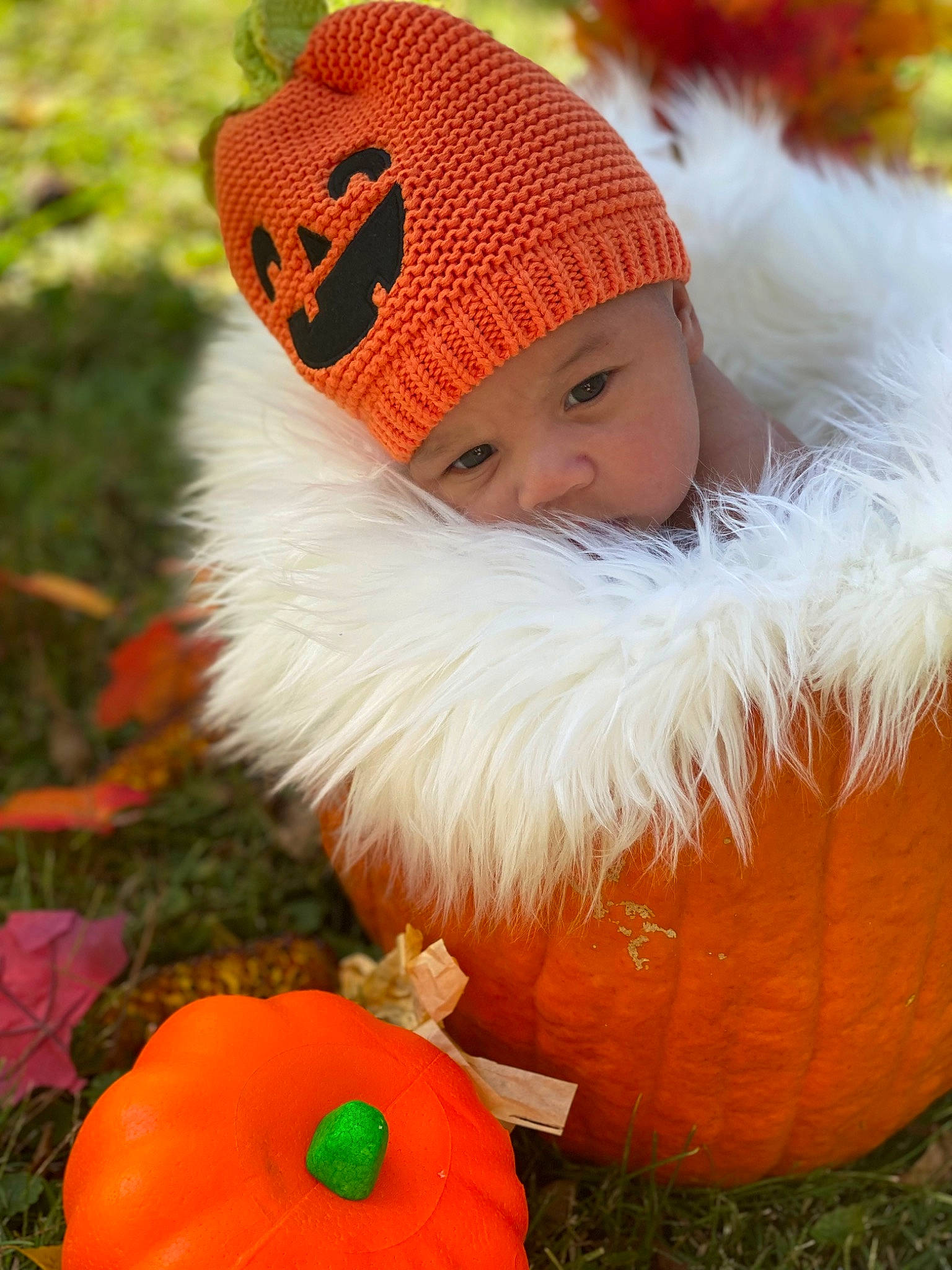 Mia is registered to the contest to win money with this photo: baby, baby_toddler_clothing, cap, eye, face, flower, grass, happy, head, headwear, knit_cap, orange, people_in_nature, person, petal, plant, pumpkin, red, toddler, tree