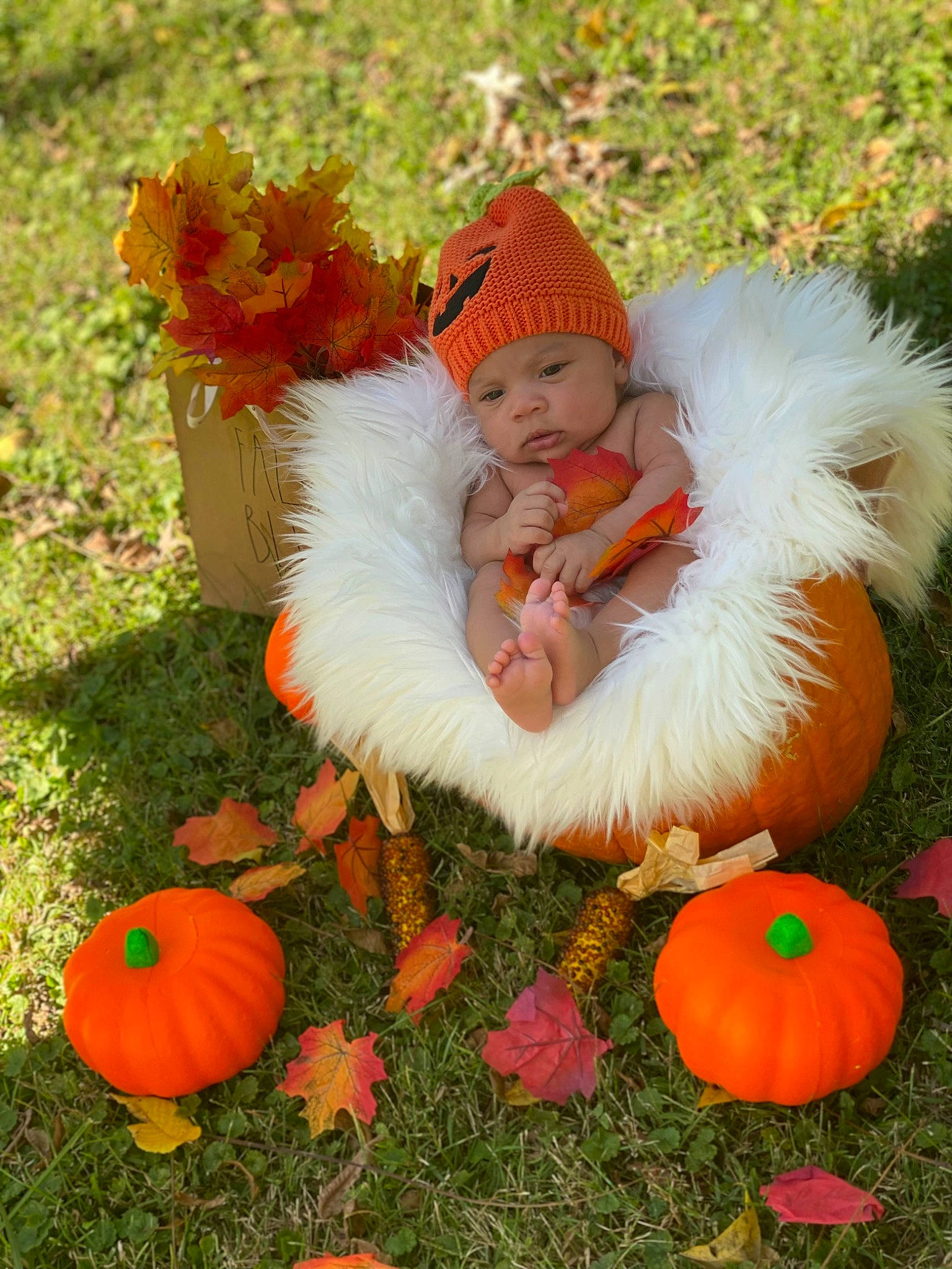 Mia joined the competition — help win amazing prizes! baby, baby_toddler_clothing, botany, calabaza, gourd, grass, green, happy, headwear, jeans, leaf, natural_foods, orange, people_in_nature, person, plant, pumpkin, squash, toddler, tree