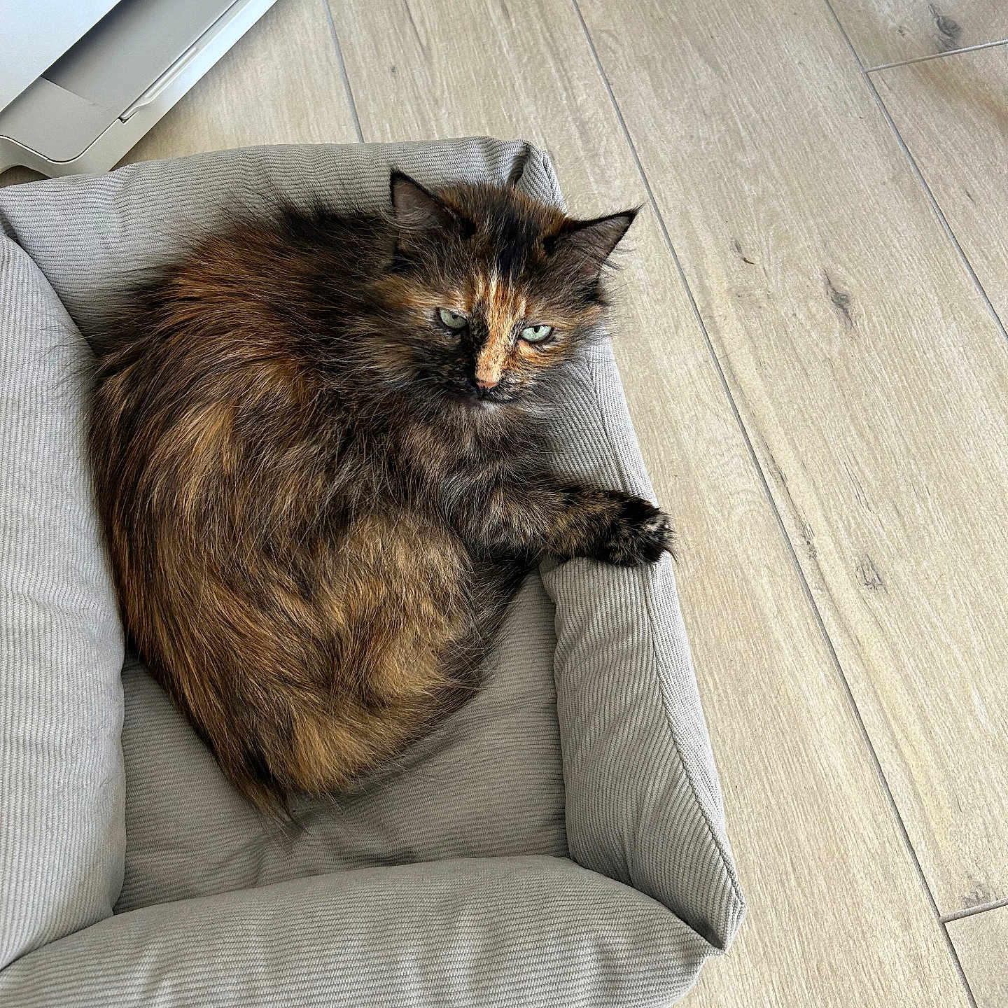 Sally