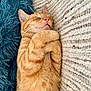 cat, orange_tabby, sleeping, cozy, paws, fluffy, cushion, rug, relaxed, pet, feline, cute, whiskers, indoor, nap, fur, adorable, comfort, rest, peaceful