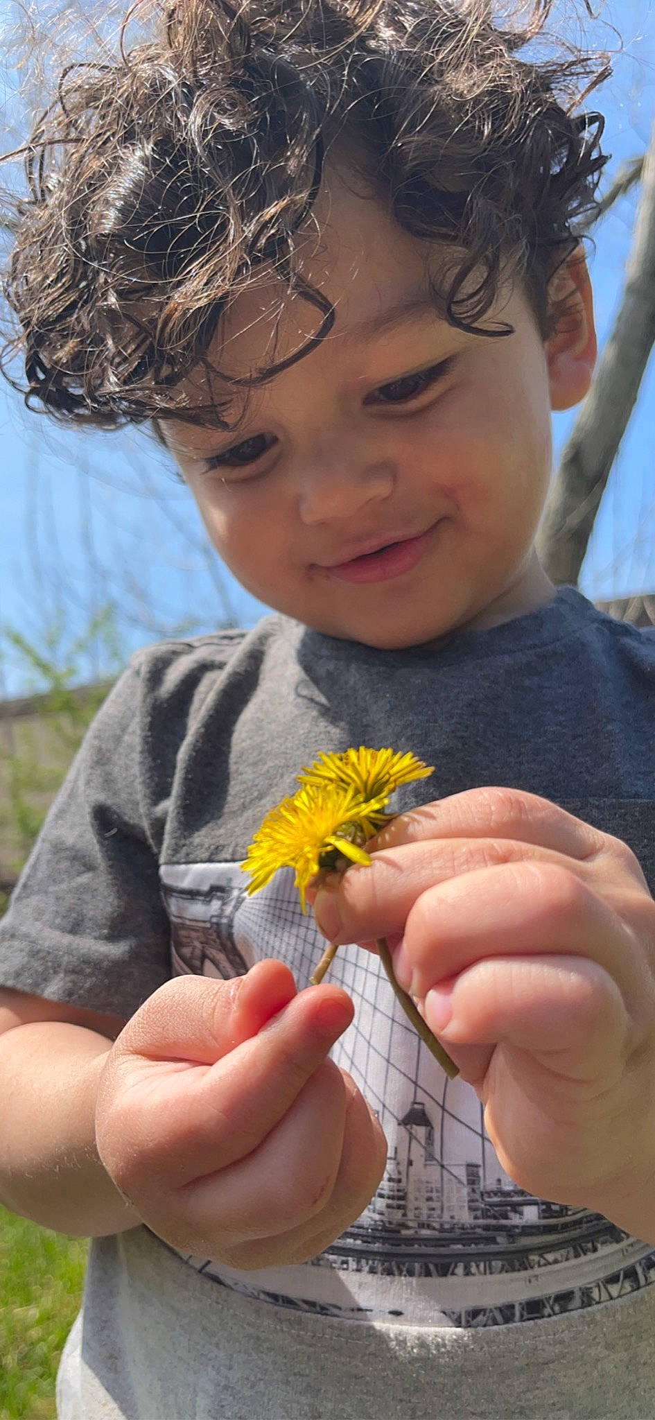 Josiah joined the competition — help win amazing prizes! adaptation, blue, facial_expression, finger, flower, gesture, grass, green, hair, hand, happy, joy, leaf, people_in_nature, person, petal, photograph, plant, skin, smile