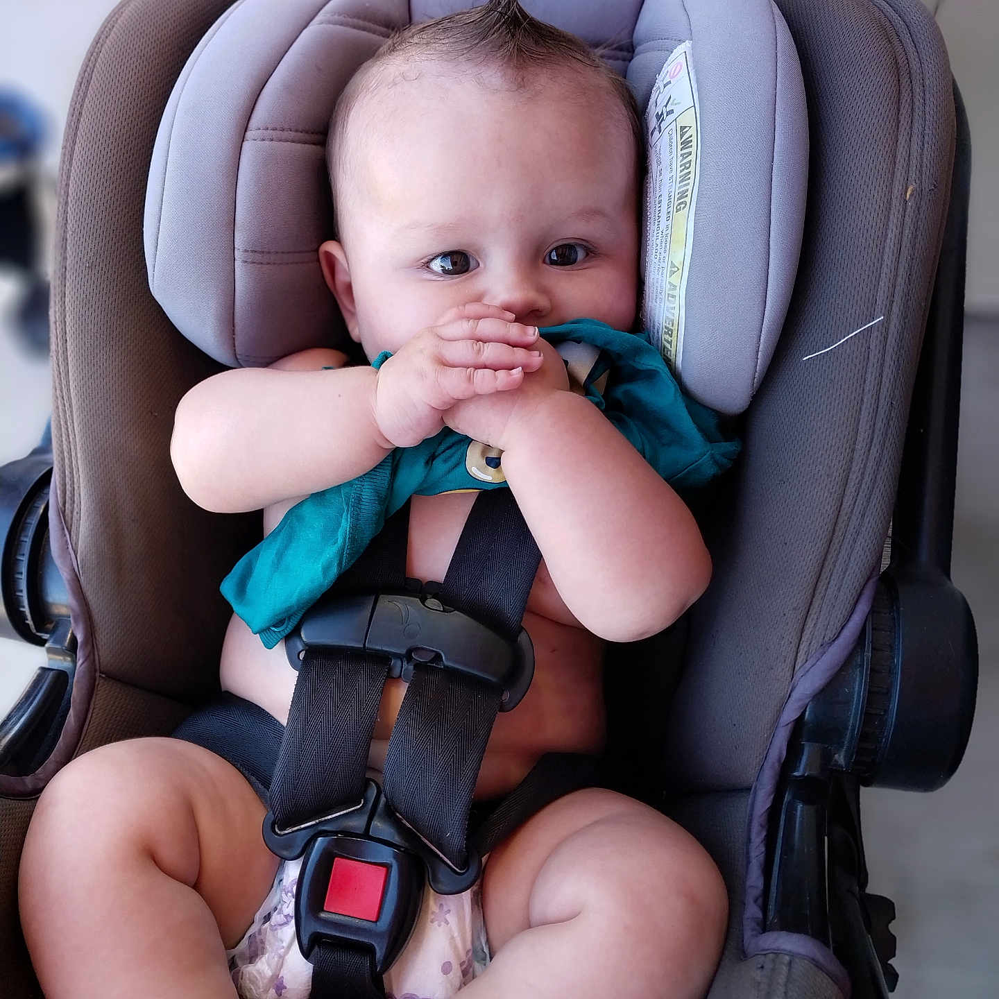 Jasper is registered to the contest to win money with this photo: accessories, baby, bodypart, car, car_interior, carseat, clothing, cushion, face, finger, glove, hand, head, homedecor, person, photography, portrait, transportation, vehicle, wristwatch