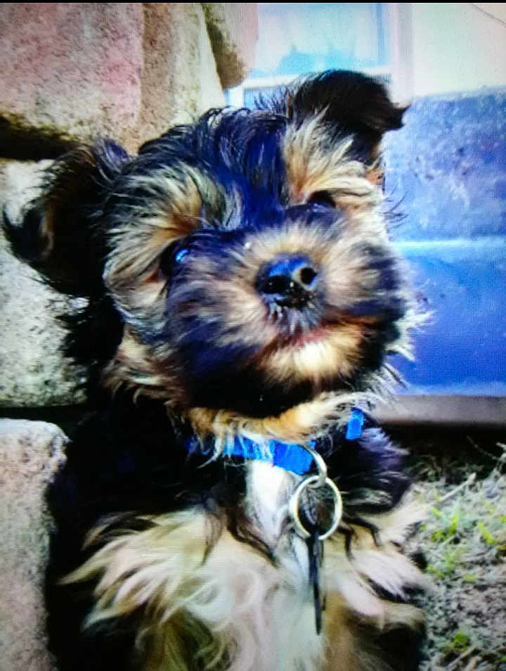 Lil' Boy