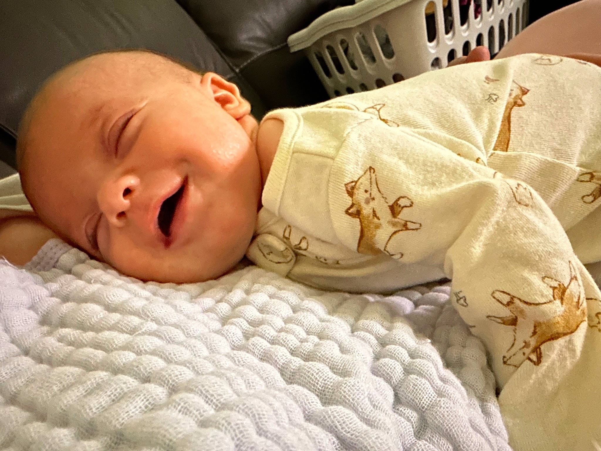 Hadley joined the competition — help win amazing prizes! baby, baby_products, baby_sleeping, baby_toddler_clothing, cheek, child, comfort, eye, eyebrow, happy, headgear, linens, mammal, nose, person, room, skin, sleeve, smile, textile