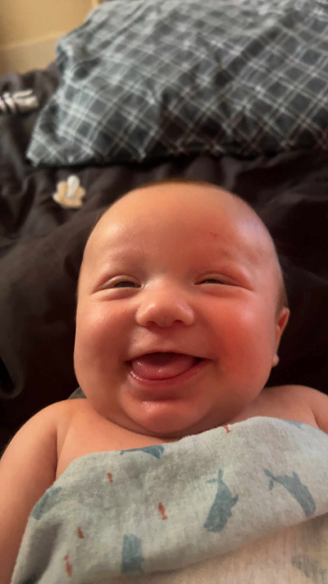 Xavior joined the competition — help win amazing prizes! baby, smiling, tongue_out, blanket, cheeks, happy, infant, face, skin, closeup, cute, child, wrapped, lying_down, indoors, soft_light, expression, portrait, newborn, joyful