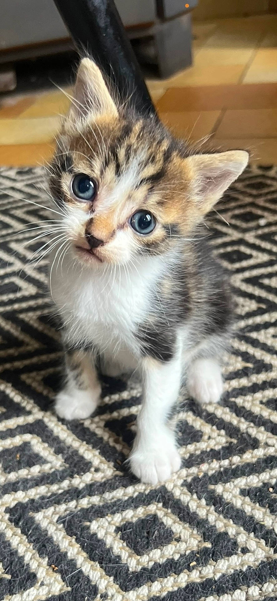 Bijoux