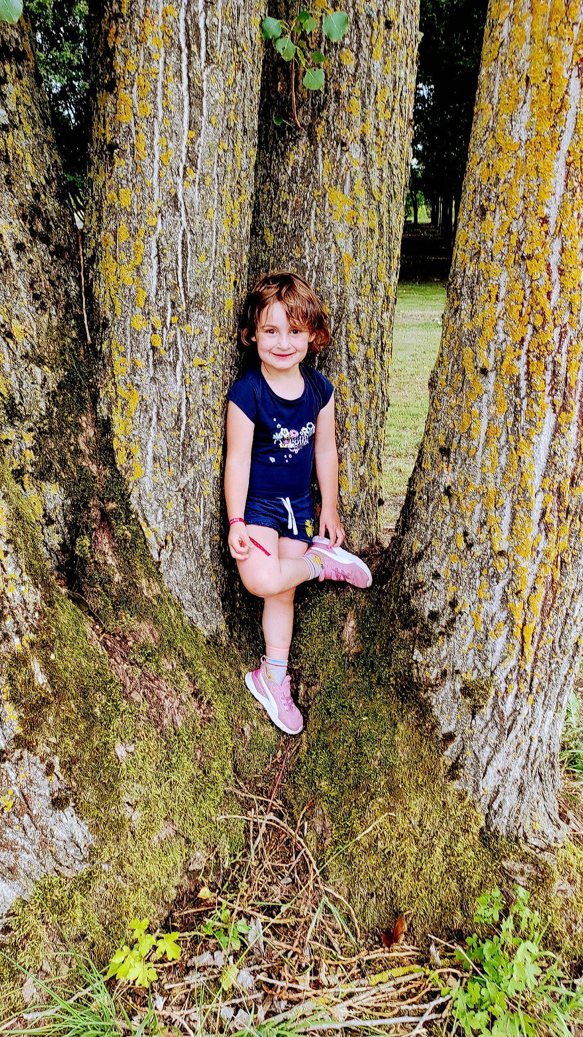 Henna participe au concours pour gagner de l'argent avec cette photo : adaptation, botany, branch, grass, hairstyle, happy, joy, leaf, leg, nature, people, people_in_nature, person, plant, sunlight, thigh, tree, trunk, wall, wood